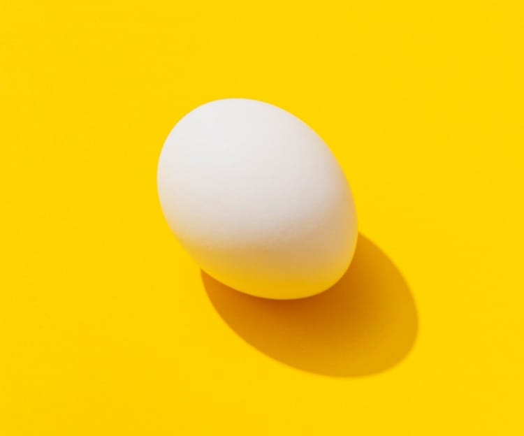 Chicken egg on yellow background